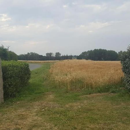 Gite 3 Places Au Coeur Du Tregor Langoat Екстер'єр фото